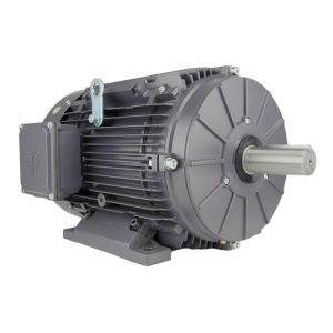 TECHTOP Electric motor - 1750 RPM